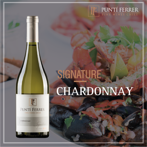 Rượu Vang Chile Punti Ferrer Signature Chardonnay